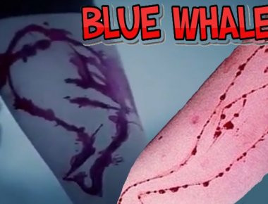 Η ΕΛ.ΑΣ προειδοποιεί για το επικίνδυνο διαδικτυακό παιχνίδι «Blue Whale Challenge»